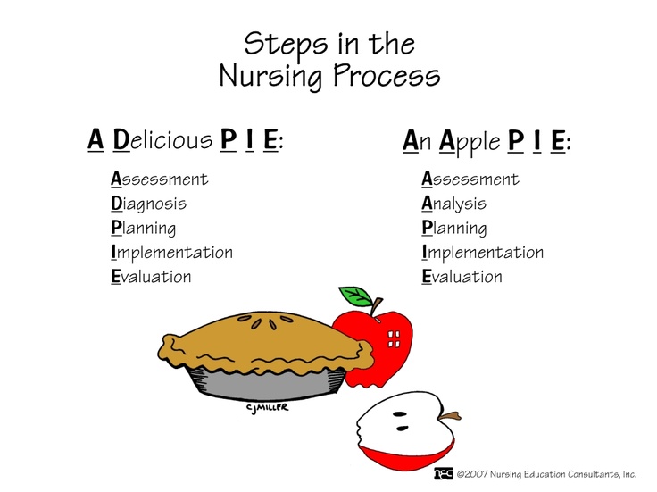 The Nursing Process Personal Life Application Andrea Joy